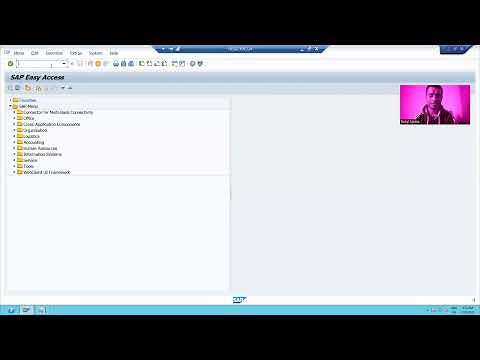 13 - Basics of SAP and ABAP - ABAP Workbench and Transaction Code