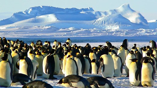 What are the major climate zones of the world? - Fun Kids - the UK's children's radio station