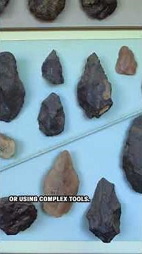 Meet Lucy, the iconic fossil that changed the timeline of hominin evolution