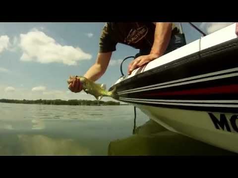 How to properly catch and release a fish