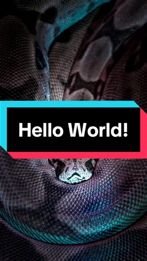 #python #pythonlernen #helloworld #programmieren #anfänger