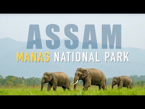 Manas National Park & Royal Manas Bhutan | Wildlife & Jungle Safari | UNESCO heritage Sight