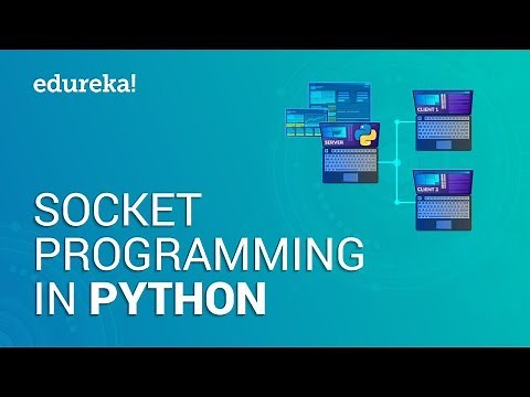 Socket Programming in Python | Sending and Receiving Data with Sockets in Python | Edureka