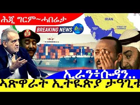 ኣጽዋራት ኢትዮጵያ ብኢራን ታዓጊቱ | ኢራን፣ሱዳን | ሕጂ ግርም-ሓበሬታ 1/4/2026