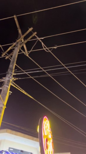 Espero que le haya servido de algo muchas gracias por comer mi rico pollito #santacruz #felizcumpleaños🌹🎂🧁🎁🎉🎊 #pollofrito #pollito ala leña#lujan #niñatrabjadora feriabariolindo