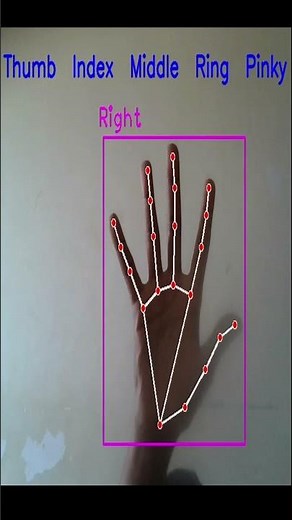 Gesture-Control finger names using Python