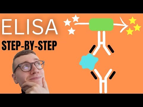 4 Steps of ELISA (Enzyme-Linked Immunosorbent Assay Simply Explained)