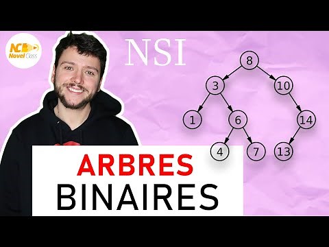 ARBRES BINAIRES - Terminale NSI
