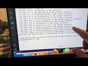 MAC Address Vendor Information REST API with Python (macvendorlookup.com)