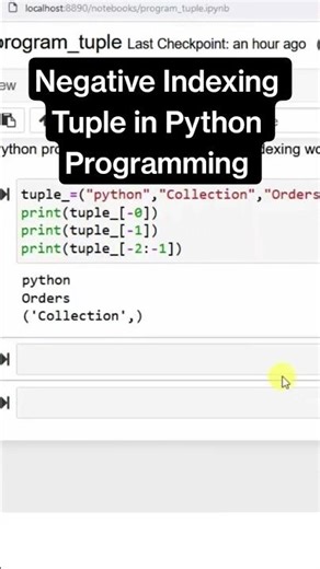 Python Tuple Negative Indexing Trick You Must Know! #python #ai