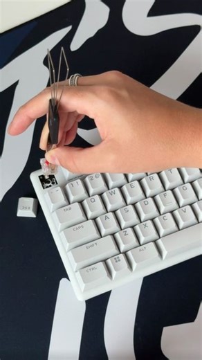 ALIENWARE on Instagram: "Built for gamers who demand precision and versatility ⌨️ The Alienware Pro Wireless Gaming Keyboard features a 75% form factor, hot-swappable keys, and Alienware Linear Mechanical Switches that will keep up with you time and time again."