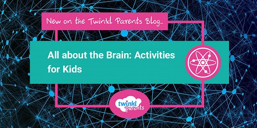 All about the Brain: Activities for Kids - Twinkl