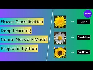 Flower Classification Project in Python Deep Learning Neural Network Model Project in Python