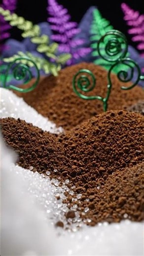 Tiny Worlds, Alien Realities #macro