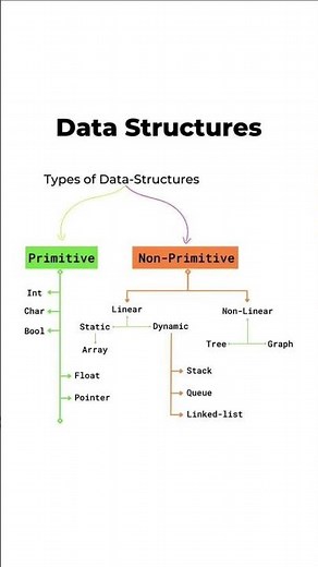 Types of Data Structures | Primitive & Non-Primitive | DSA Basics #coding #programming #datastructur