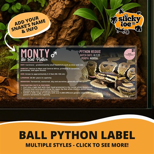Custom Ball Python Label – Laminated Enclosure Tag for Python Regius – Multiple Styles Available - Etsy