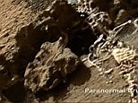 Paranormal Crucible claims an alien skeleton was found on Mars
