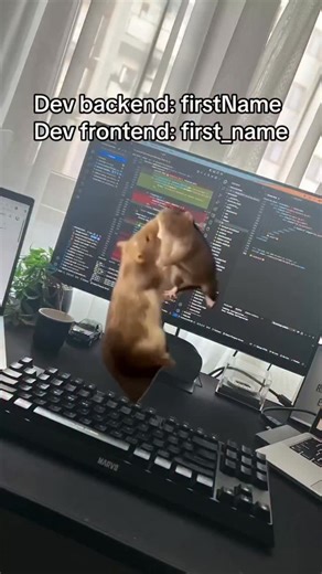 🌐 Full-Stack Architect|Crafting Digital Experiences🇮🇳🇬🇧 | 150k🎯 on Instagram: "Backend vs Frontend naming conventions be like 😂💻❤️‍🔥 . . 📱 Follow for more dev content 👆 Tag your frontend/backend partner in crime 💬 camelCase or snake_case - what's your team? ❤️ Double tap if naming variables stresses you out . . Follow for more:- @ss_web_innovations . . #developer #webdevelopment #coding #javascript #h
