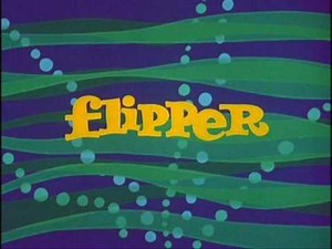 FLIPPER THEME