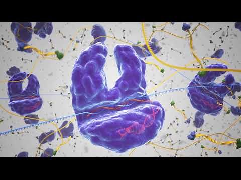 SHERLOCK: A CRISPR Tool to Detect Disease