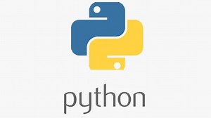 How to Panel data python – An easy introduction