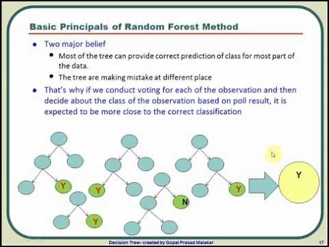 What is Random Forest Algorithm? A graphical tutorial on how Random Forest algorithm works?