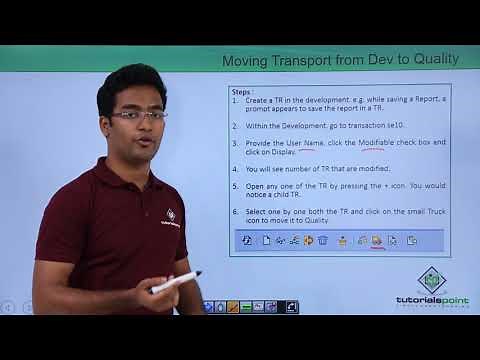 SAP ABAP - System Landscape