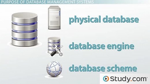 What is a Database Management System? - Purpose and Function