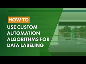 How to Use Custom Automation Algorithms for Data Labeling