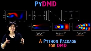 PyDMD: A Python Package for Dynamic Mode Decomposition (DMD) | Burhan Sakar