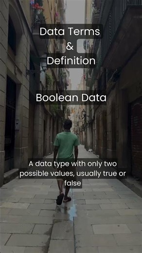 Coding 101: What is a Boolean? (The Simple Truth) #dataanalytics #eressiadata