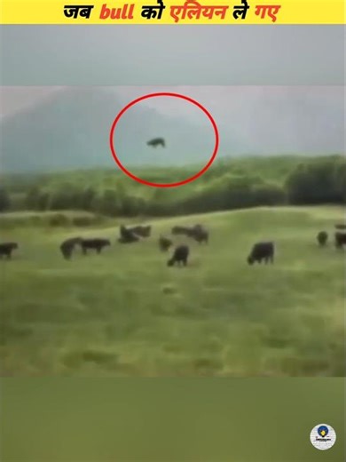 When the aliens took the bull #viral