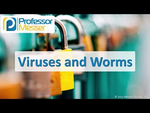 Viruses and Worms - CompTIA Security+ SY0-501 - 1.1