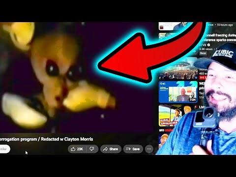 Video of a Real Alien