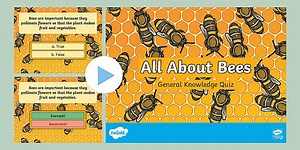 Grade 3 Life Skills Term 2 All About Bees General Knowledge Quiz (CAPS Aligned)