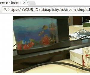 Stream Live Videos From Your Pi on the Internet