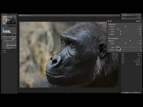 Alien Skin Exposure X4 - 6: Sharpening & Noise Reduction