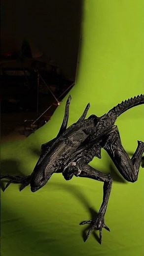 Alien Xenomorph (Green Screen Studio) #alien