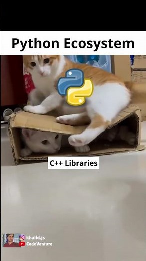 python shines c grinds #coding #programming #javascript #python