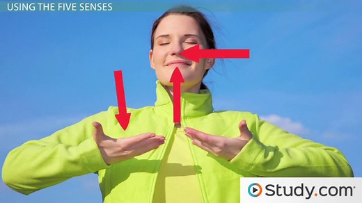 Descriptive Essay | Definition, Format & Examples