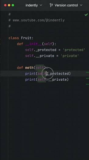 THIS Is HOW You Create PRIVATE & PROTECTED Variables In Python
