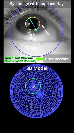 You need to see this eye tracker!
