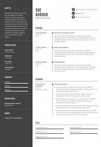 10 Computer Science Student Resume Examples for 2026