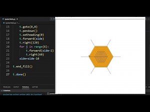 Draw Spider Web | full Python Code || Python Turtle