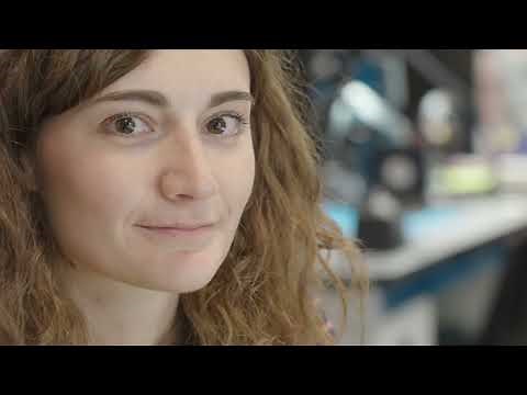 Arduino Pro: Industrial-Grade Simplicity