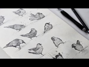 Quick sketching birds! A drawing exercise for beginner artists