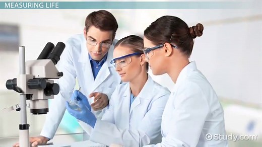 The Role of Mathematics in Biology