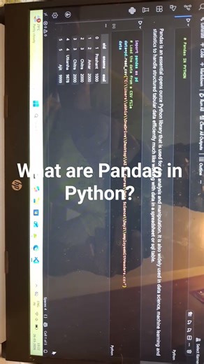 what are Pandas in Python? #programming #coding #education
