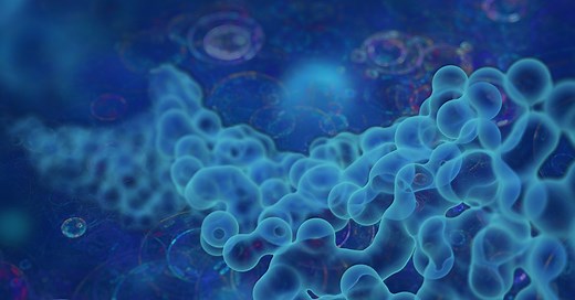 Biochemistry and Molecular Biology | Johns Hopkins Bloomberg School of Public Health