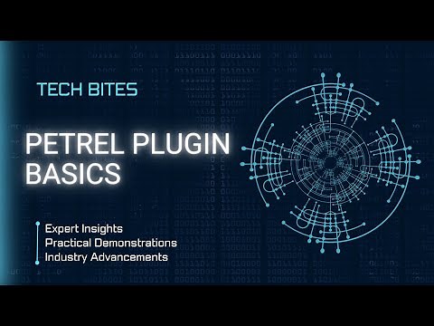Petrel Plugin Basics